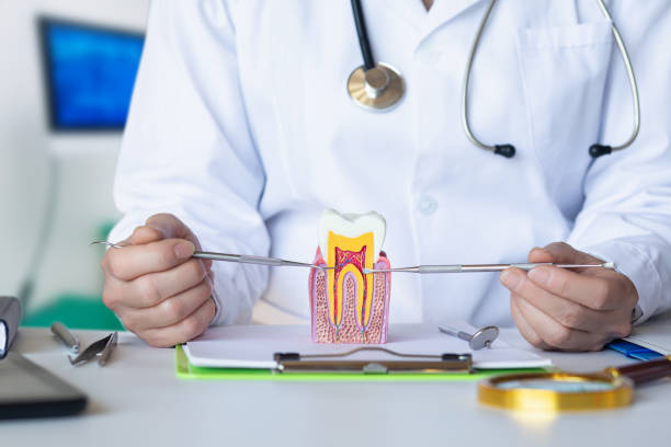 Best Knocked-Out Tooth Emergency  in Gridley, IL